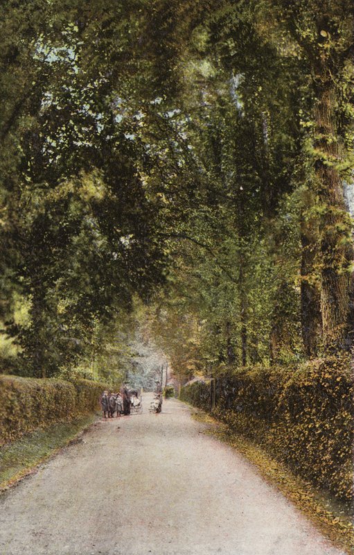 Spencer Road, Ryde - English Photographer