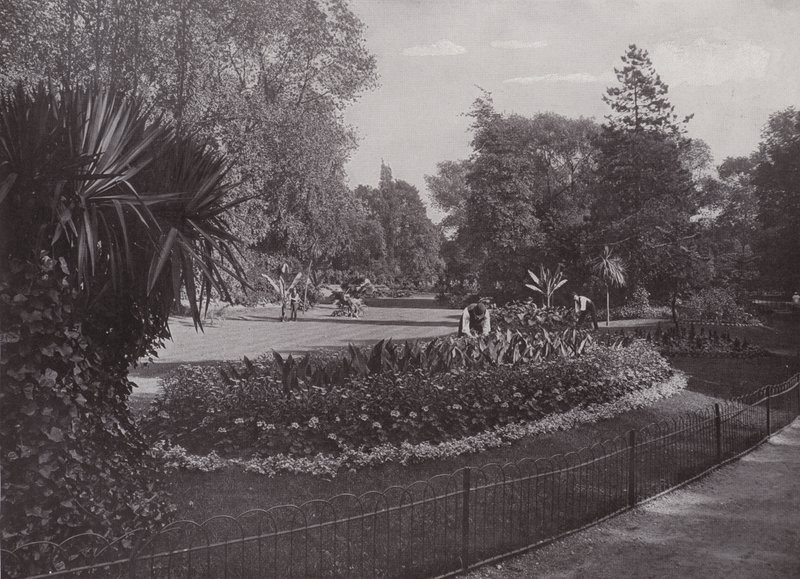 Jardins subtropicaux, parc Battersea - English Photographer