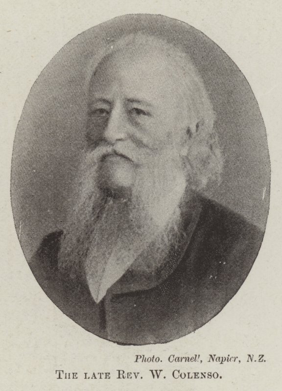 Feu révérend W. Colenso - English Photographer