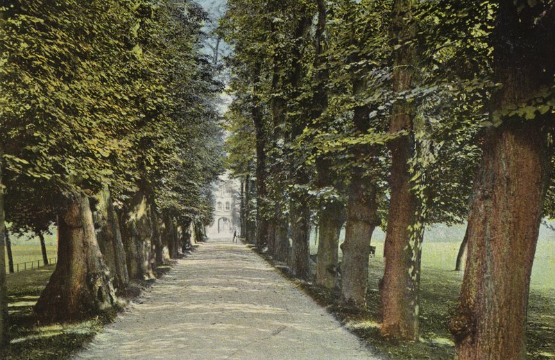 Collège Trinity, l