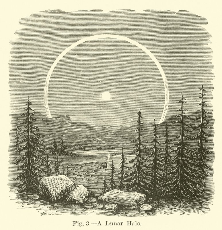 Un halo lunaire - English School