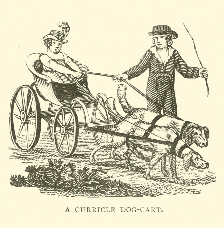 Un dog-cart à deux roues - English School