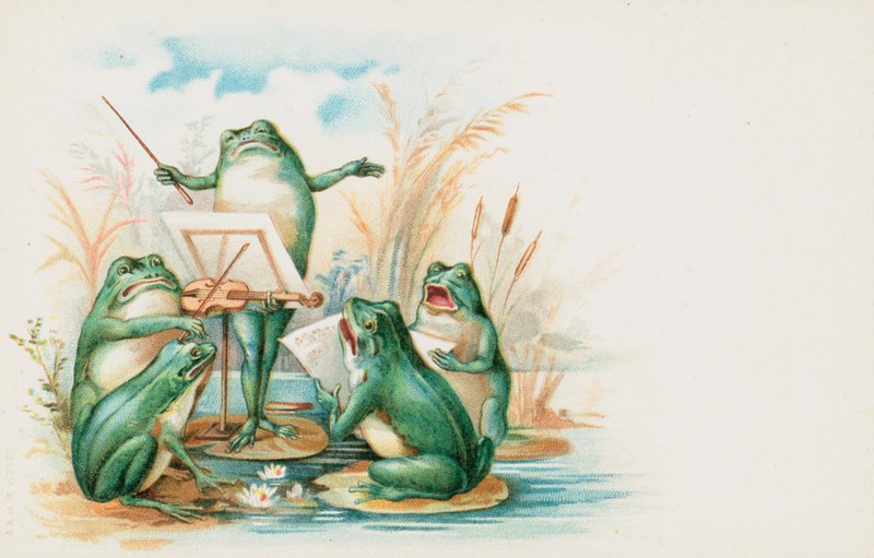 Un groupe de grenouilles musicales - English School
