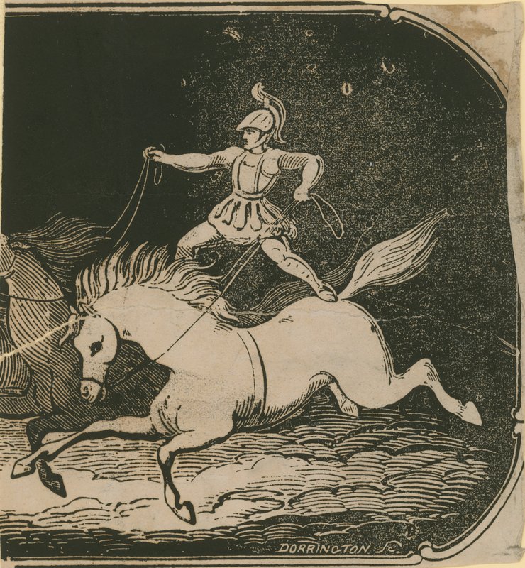 Équitation acrobatique - English School