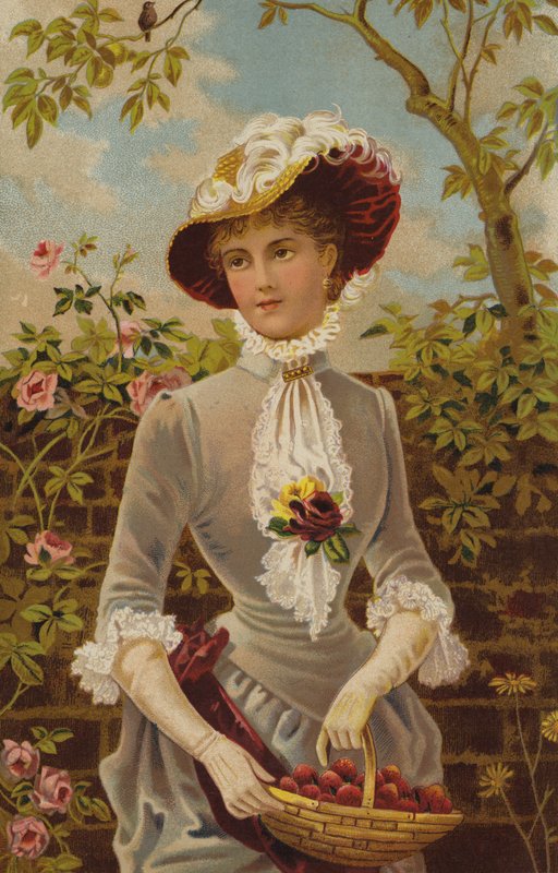 Tout dans un jardin magnifique - English School
