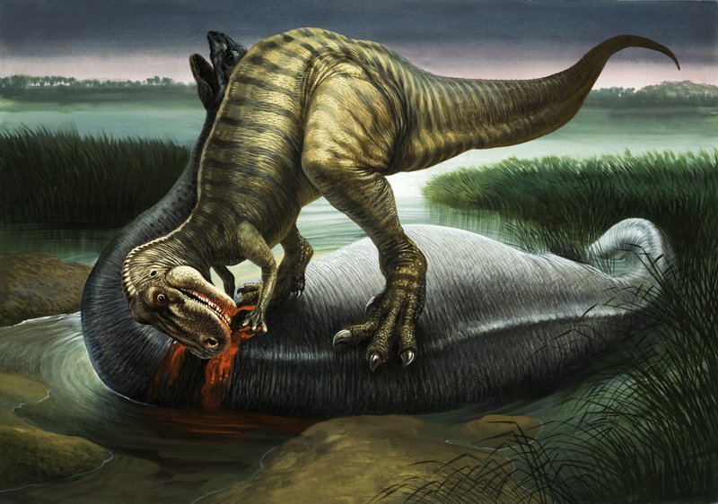 Allosaurus mangeant un Apatosaurus - English School