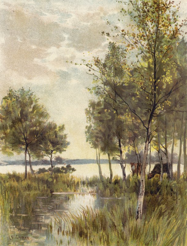 Un soir d