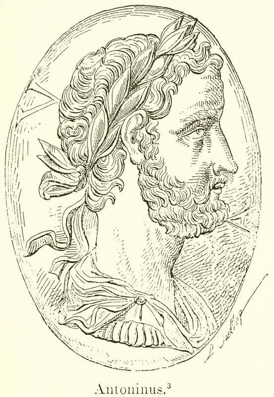 Antonin - English School
