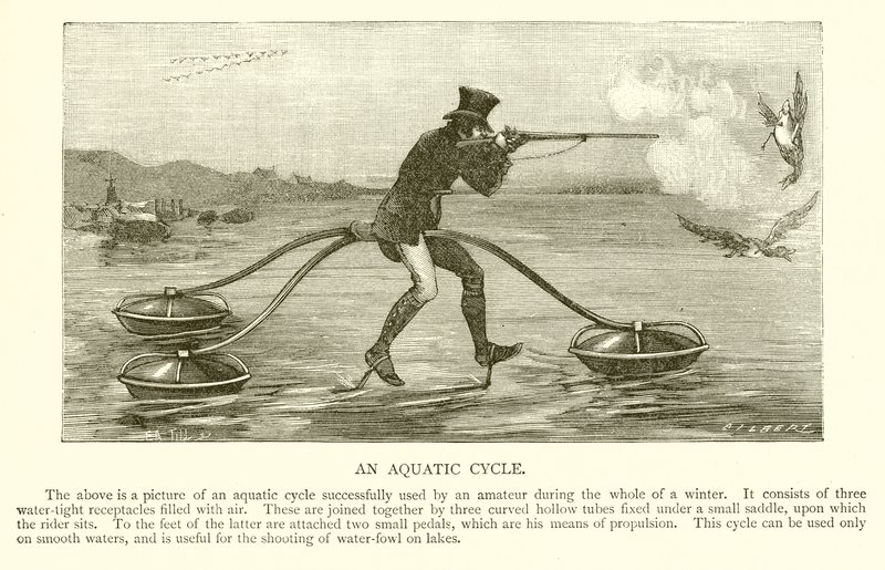 Cycle aquatique - English School