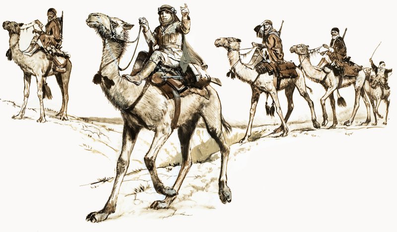 Arabes traversant le désert à dos de chameau - English School