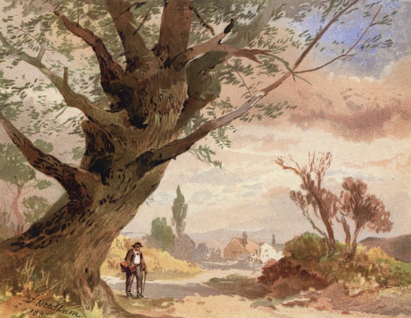 Cendre au bord du chemin - English School