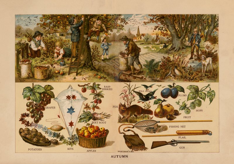 Automne - English School