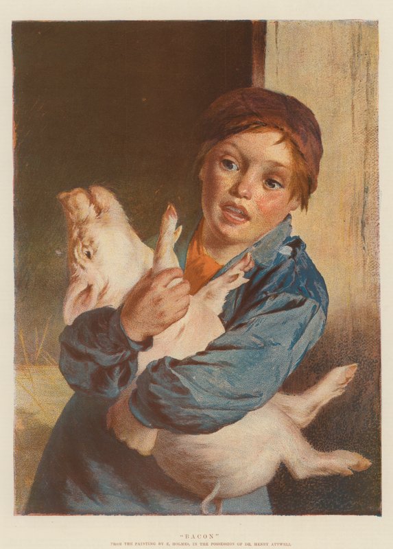 Bacon (chromolitho) - English School