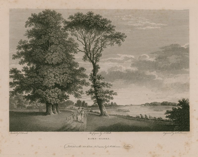 Barn Elmes - English School