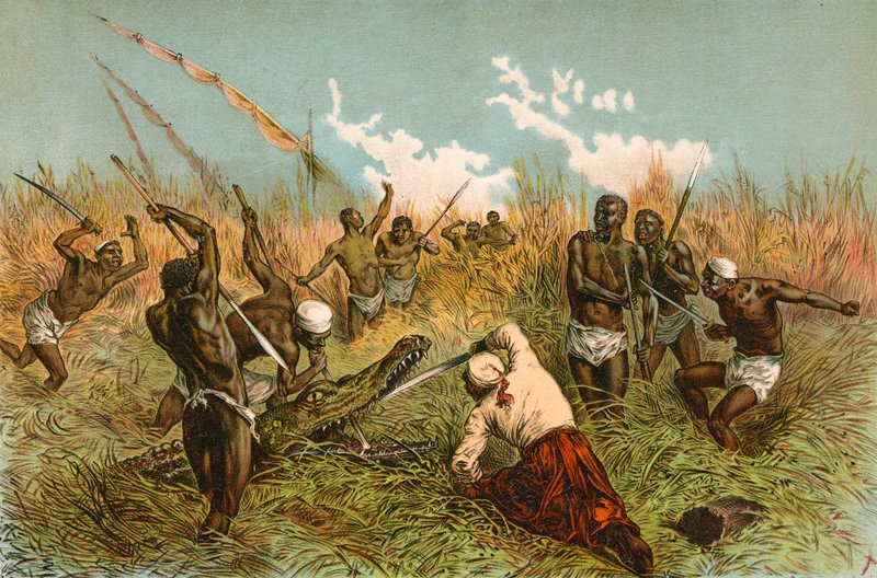 Combat avec un crocodile - English School