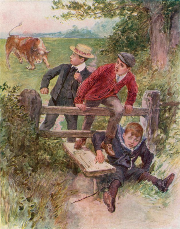 Attention au taureau ! - English School