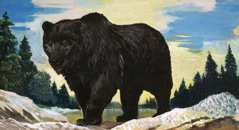 Ours noir - English School