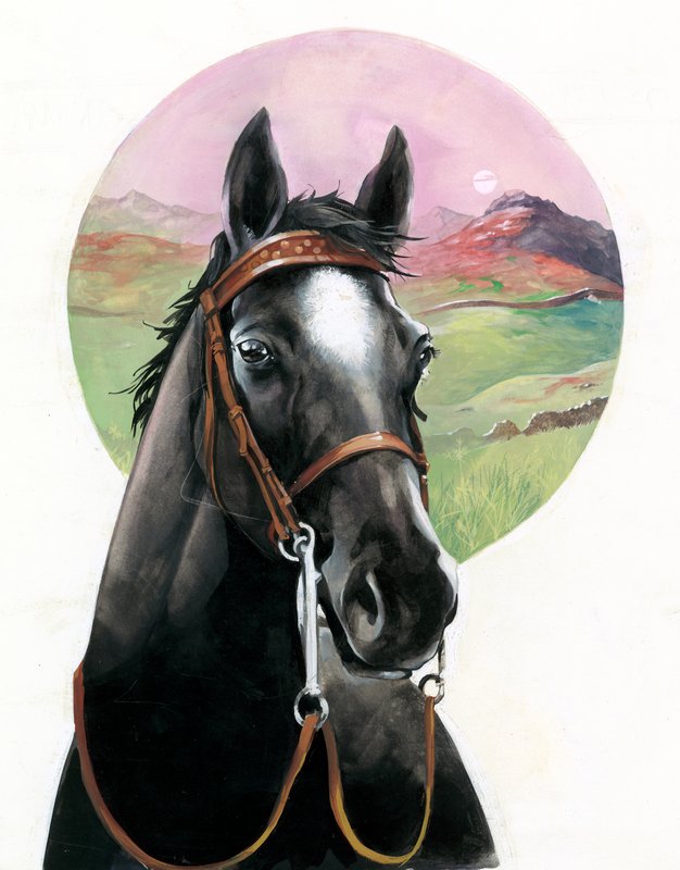 Beauté noire - English School