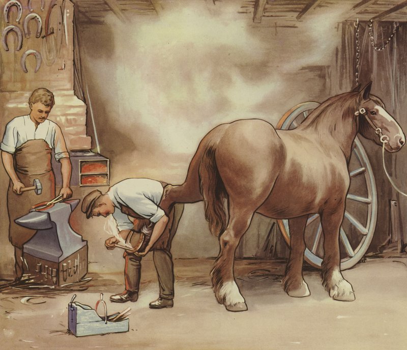 Forgeron ferrant un cheval - English School
