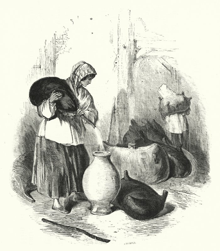 Bouteilles - English School