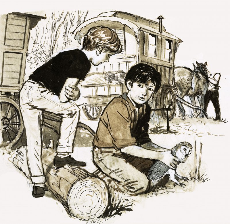 Garçons avec une chouette - English School