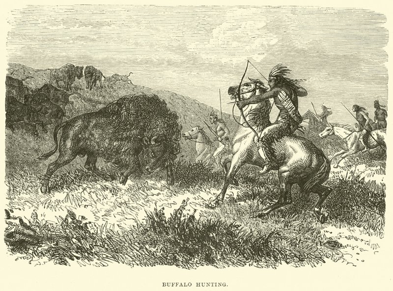 Chasse au bison - English School