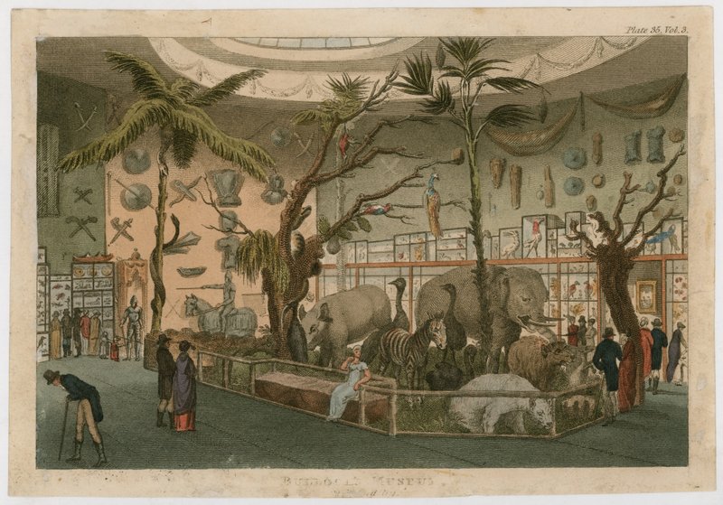 Musée Bullocks - English School