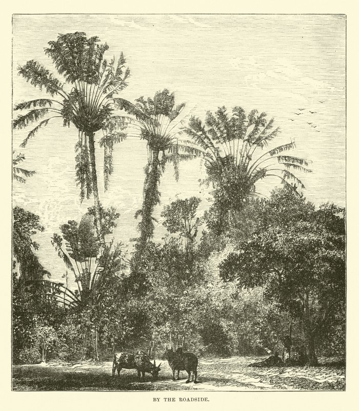 Au bord de la route - English School