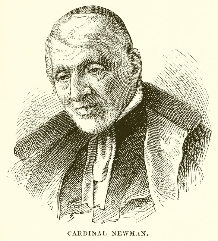 Cardinal Newman - English School
