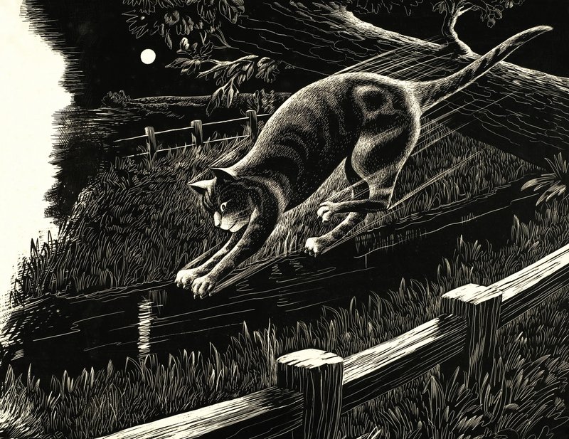 Chat sautant d