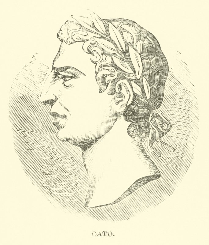 Caton - English School