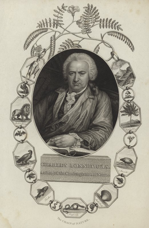 Charles Bonnet - English School