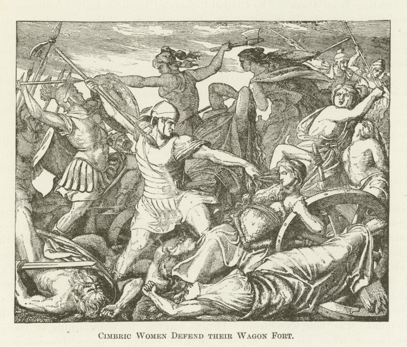 Femmes Cimbres défendent leur Fort de Chariots - English School