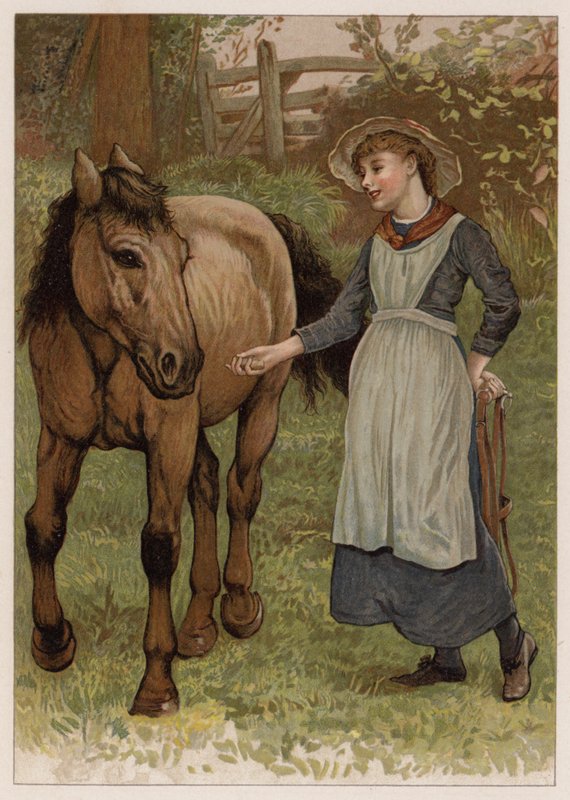 Clever Dobbin - English School