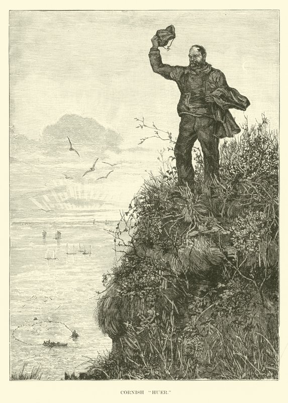 Guetteur de poissons de Cornouailles - English School