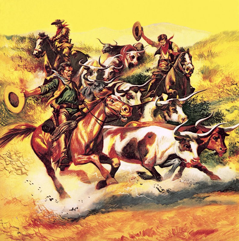 Cowboys - English School