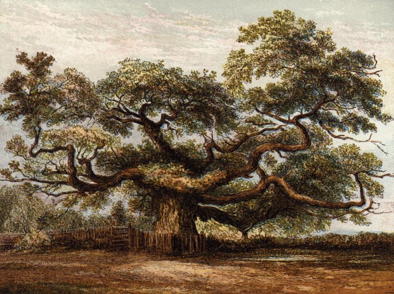 Crouch Oak, Addlestone - English School