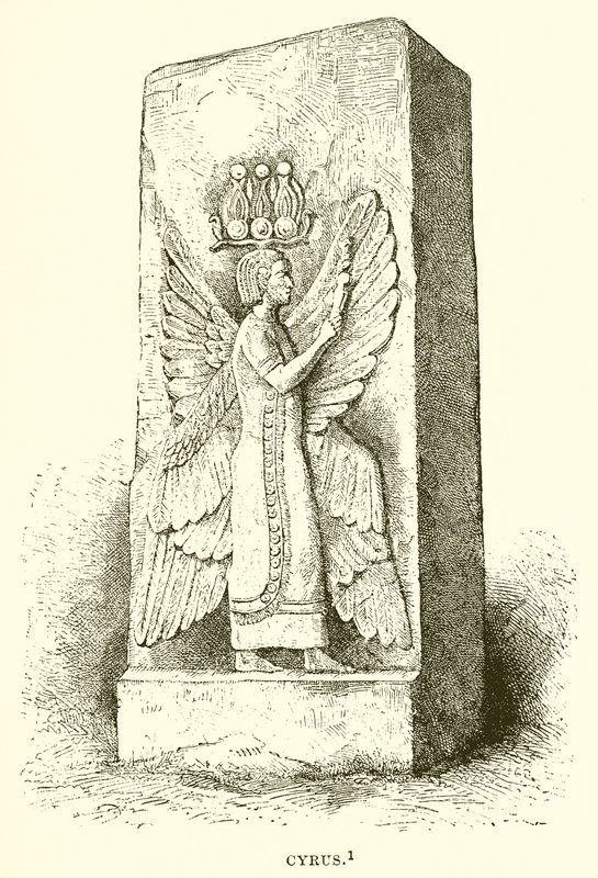 Cyrus - English School