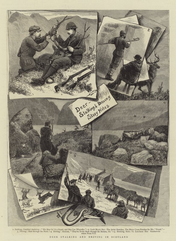 Chasse et Conduite de Cerfs en Écosse - English School
