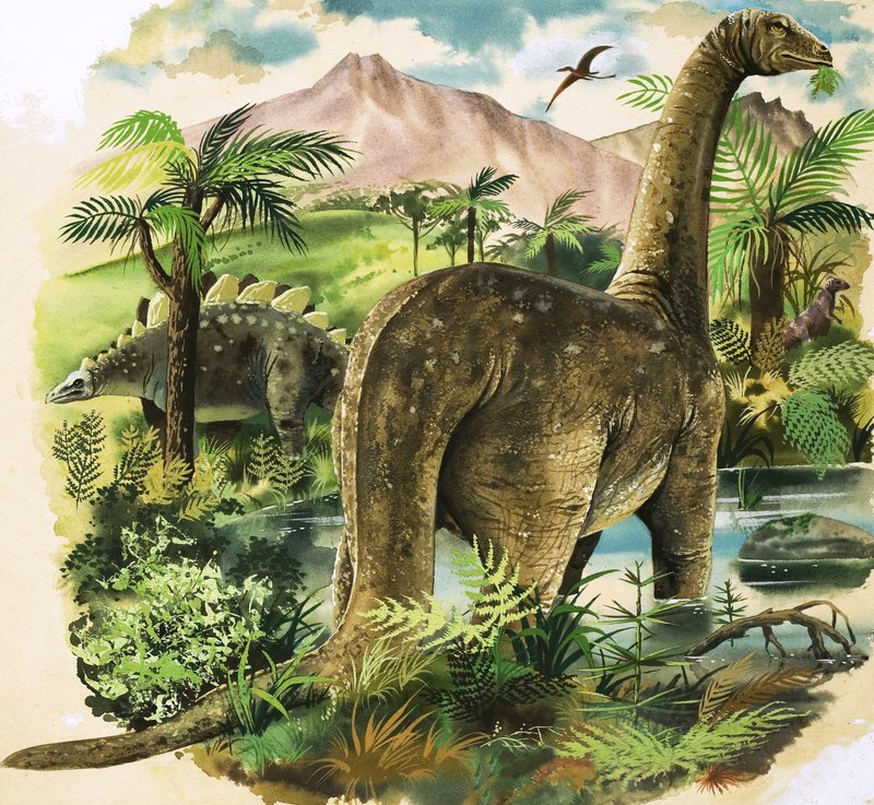 Dinosaures - English School
