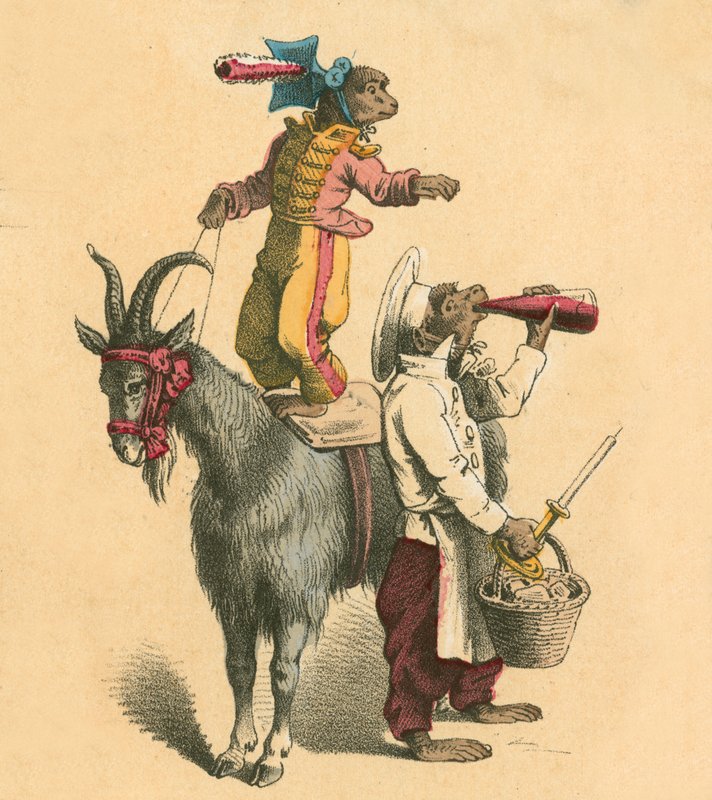 Singes déguisés - English School