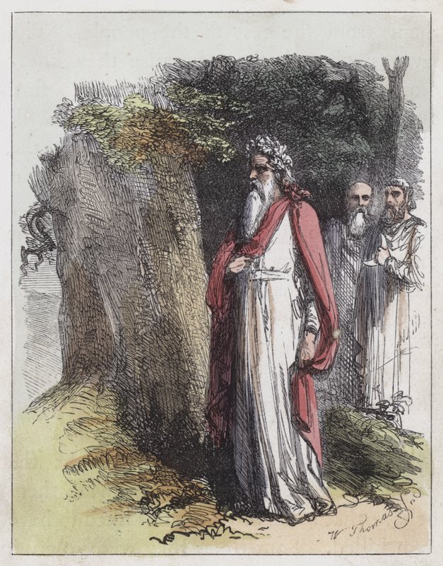 Druides - English School