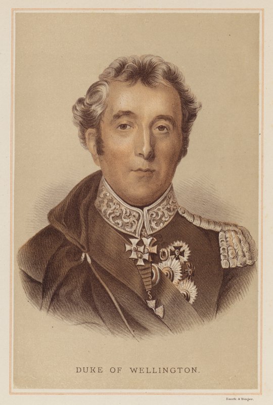 Duc de Wellington - English School