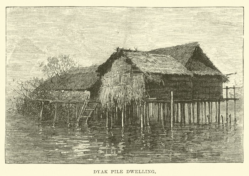 Habitation sur pilotis dyak - English School