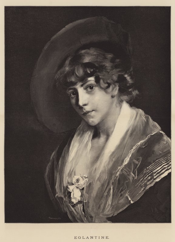 Églantine (gravure) - English School