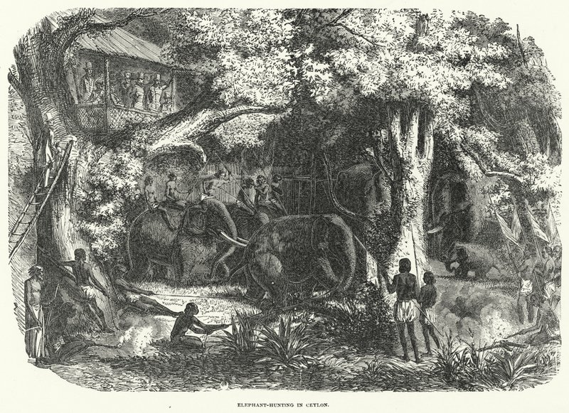 Chasse à l