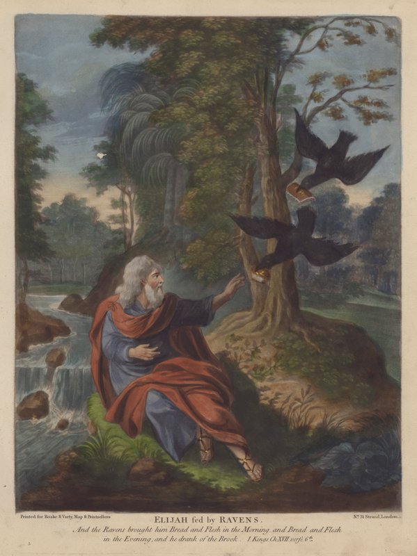 Élie nourri par les corbeaux - English School