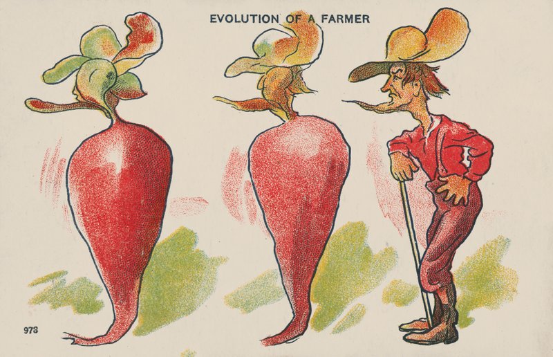 Évolution d