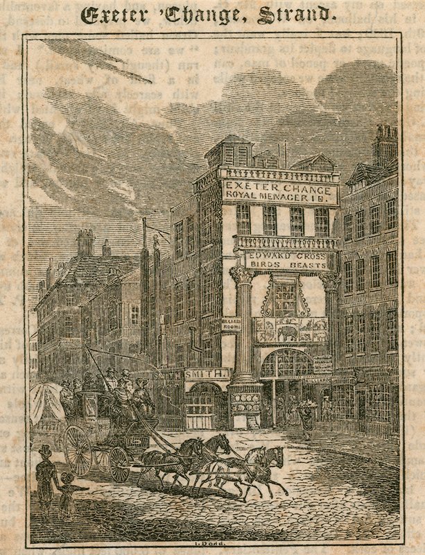 Exeter Change, The Strand, Londres - English School