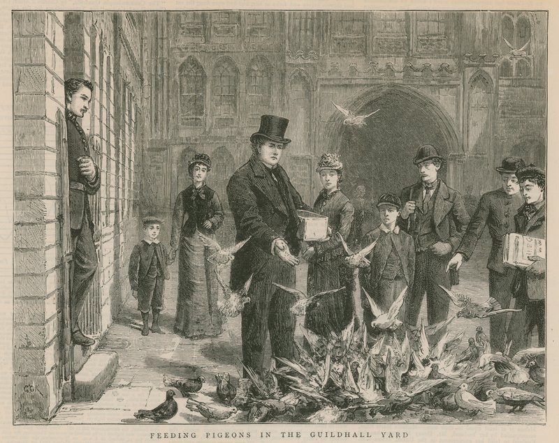 Nourrir les pigeons dans la cour de Guildhall - English School
